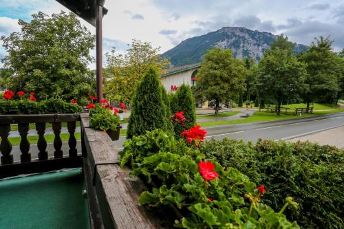 Pension Rauschberghof - main image