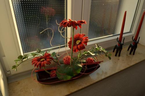 Ferienwohnung Cologne