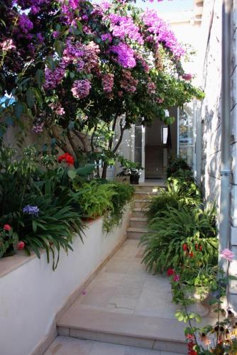Apartments by the sea Puntinak Brac - 718 - image 8