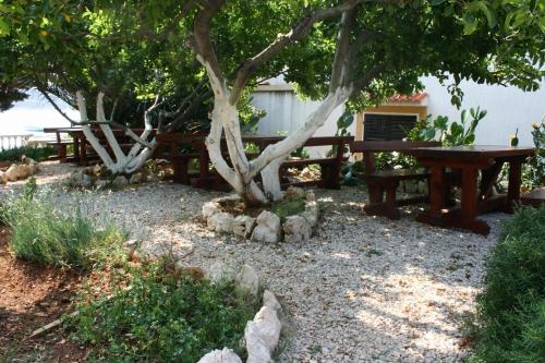 Apartments by the sea Stara Novalja Pag - 4063 - image 10