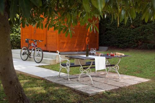 Apartments by the sea Dajla Novigrad - 3382