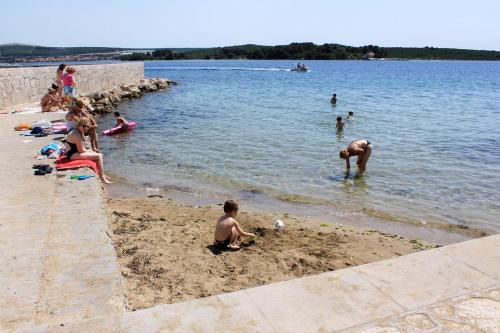  Apartment Pasman 8295a in Pašman