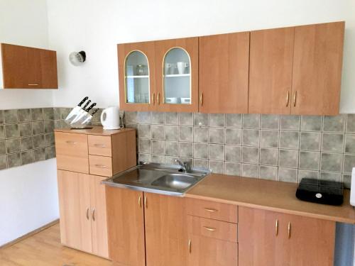 Kitchen, Apartment Sophie Olomouc in Olomouc City Center