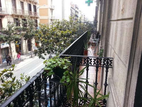 Barcelona Housing Student - image 2