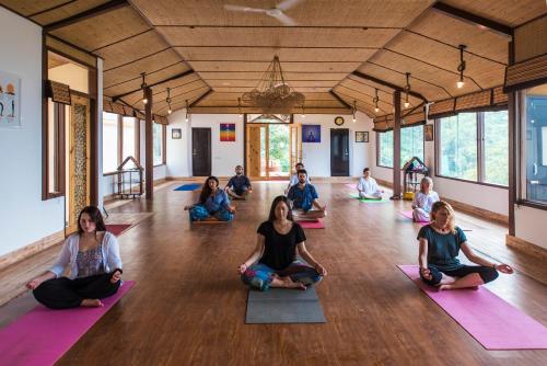 Veda5 Ayurveda & Yoga Retreat