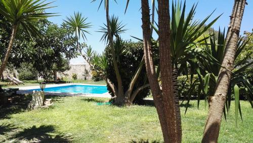 Villa Zottopera - Exclusive holiday - image 2