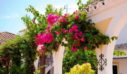 Globales Pueblo Andaluz – San Pedro De Alcantara, SC
