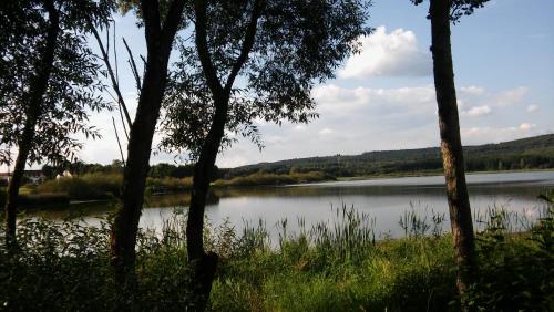 Ferienwohnung in der Vulkaneifel