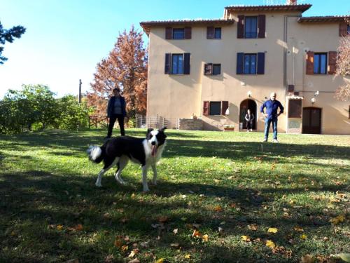 Agriturismo VILLA MOZART nel verde