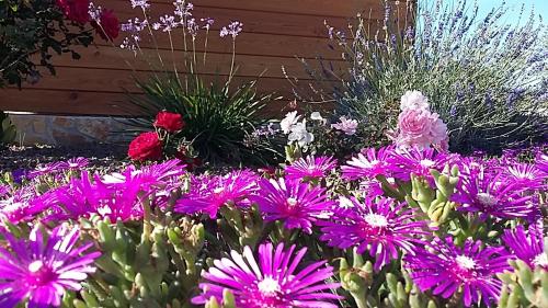 Agriturismo Valiana - image 7