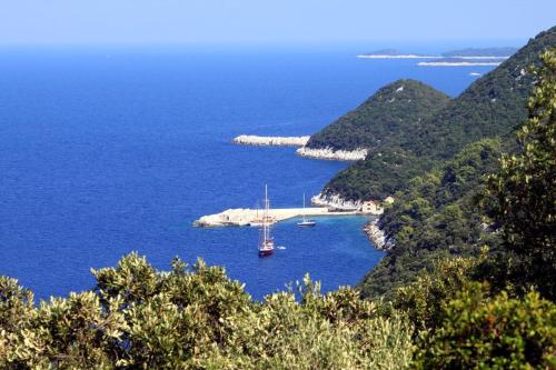  Apartment Lucica 990a in Lastovo