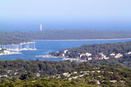 Apartments by the sea Verunic, Dugi otok - 8103, Veli Rat (photo 9)