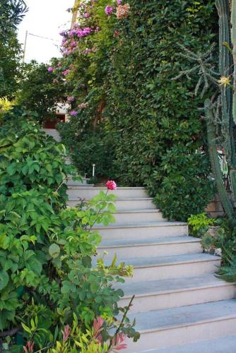  Studio Brela 2752e in Brela