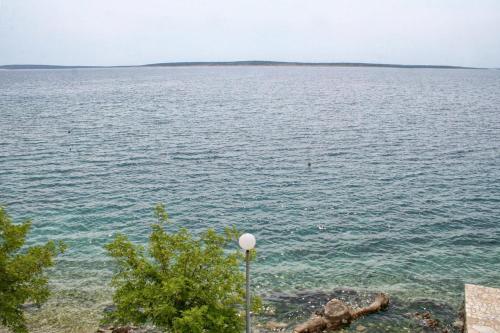 Apartments by the sea Mandre Pag - 4101 - image 7