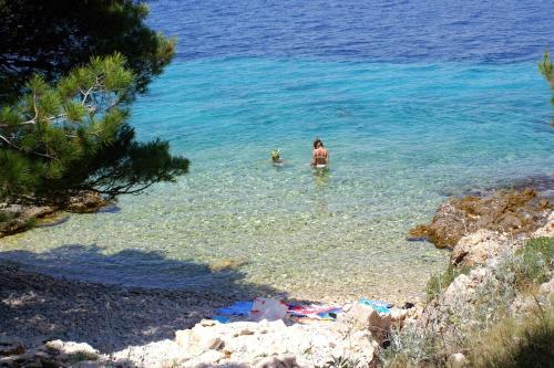 Apartments by the sea Bilo Primosten - 4189 - image 4