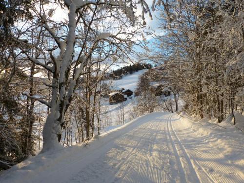 Omgivelser, Groven Camping & Hyttegrend in Raulandsgrend