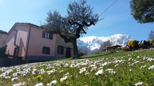  La via del parco, Unterkunft in Arsita