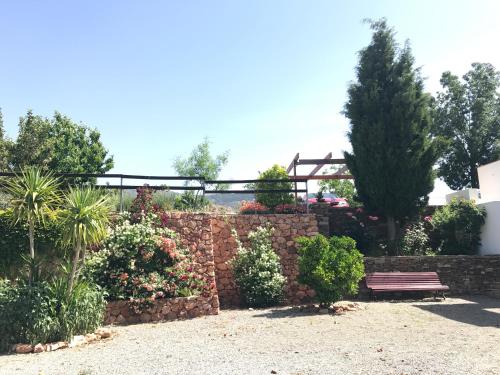 El Domingo en el Valle