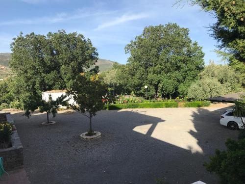 El Domingo en el Valle