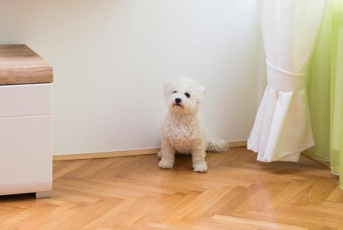 Apartment Zagreb Mandić - image 11