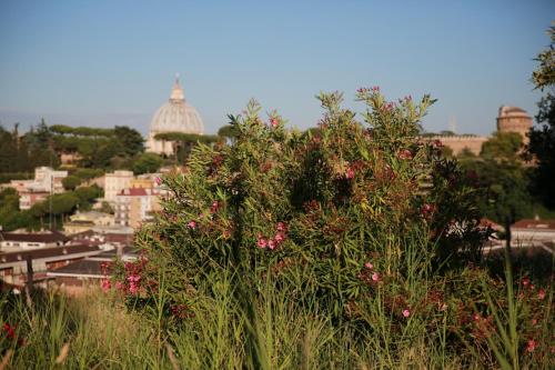 B&B All'Ombra di San Pietro, Roma (foto 5)