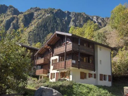 Arnika in Blatten bei Naters, Schweiz