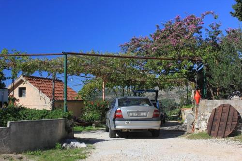 Apartments with a parking space Slano Dubrovnik - 8540 - image 8