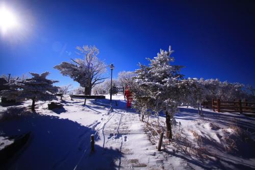 용평 리조트 (YongPyong Resort) in 평창