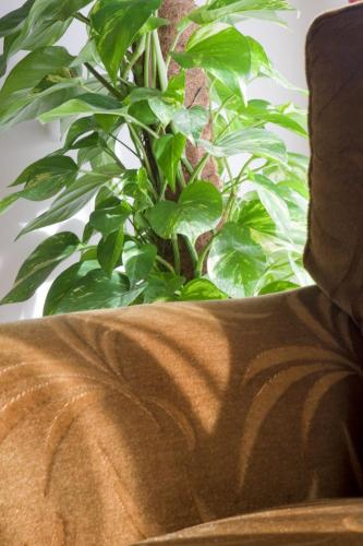 Hotel Antico Acquedotto - image 2