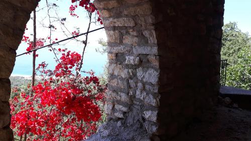 Castle Hotel - image 2