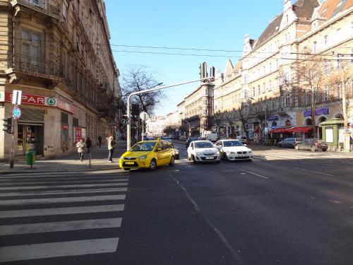 Erzsebet Boulevard Apartment - image 2