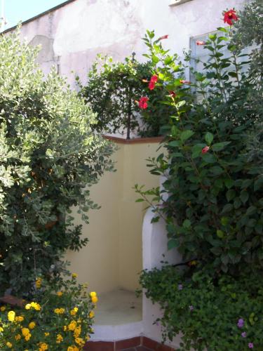 Hotel Villa Verde - image 3