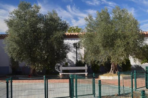 Viesnīcas āriene, Casa Emma in Villamarciel