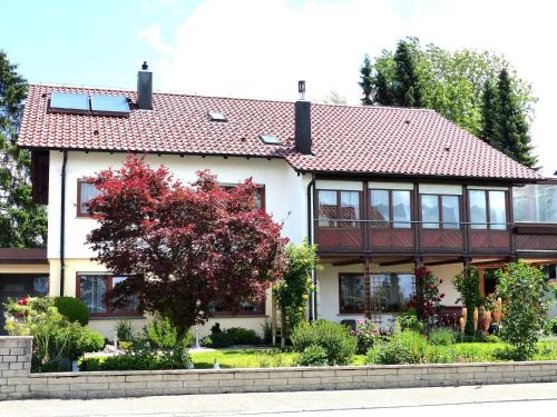 Ferienwohnung Janko - Apartment - Meßstetten