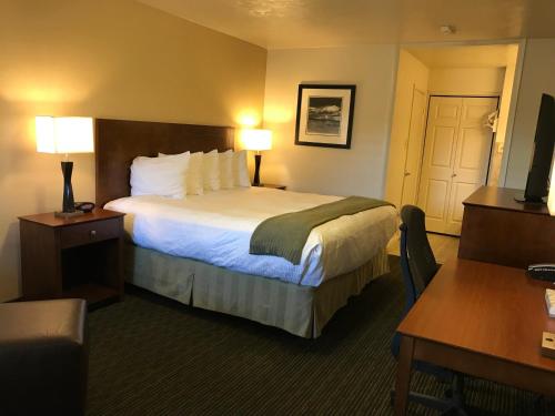 Dinosaur Inn & Suites - main image