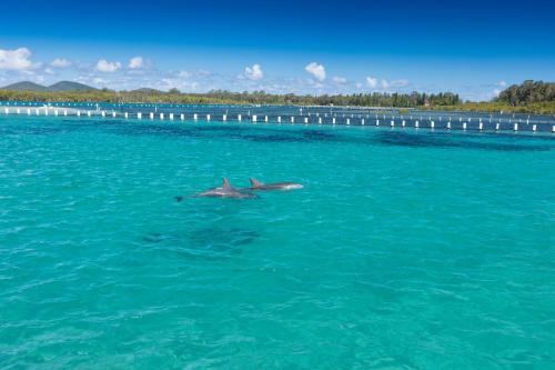 Hotel Forster in ฟอสเตอร์