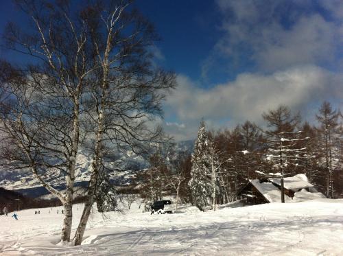 Paradise Chalet