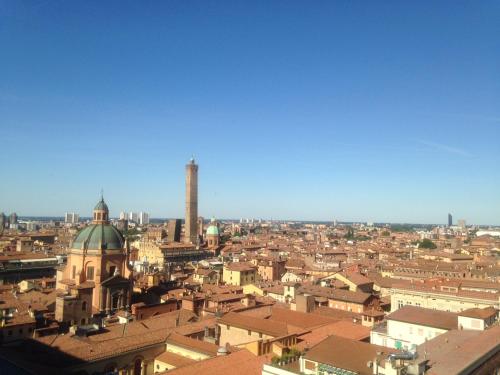 Falcone 22 - image 13