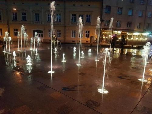 Апартаменти в центрі Львова - Личаківська, Військовий госпіталь, Львов (фото 9)