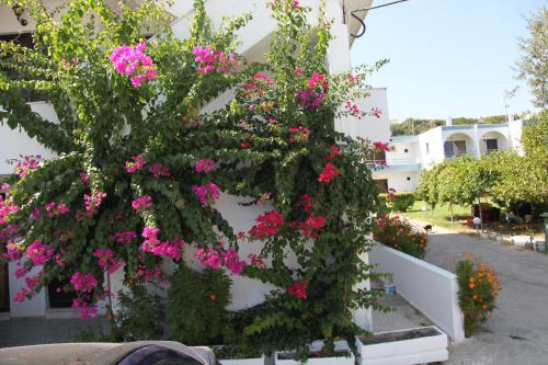 Despina Hotel – Afandou, AZ