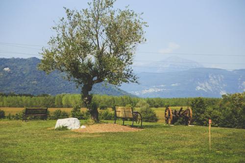 Agriturismo Contessi