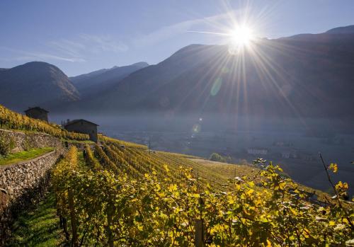 coltiviamo-sogni in Brusio