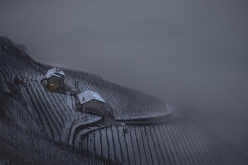 coltiviamo-sogni - image 4