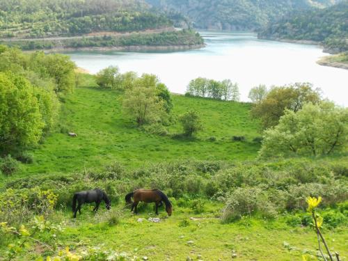 A szálláshely kívülről, Hostal La Catalana in Sant Llorenc De Morunys