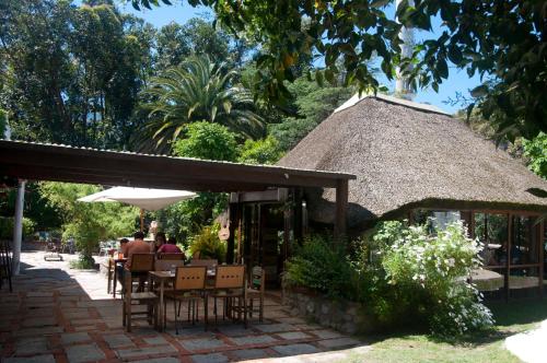 Santoral Restaurante y Posada Pet Friendly in Atlantida