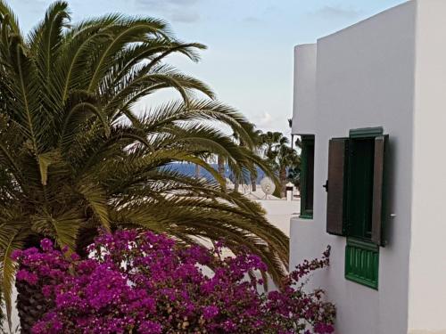  Gibshouses Hyde Park in Puerto del Carmen