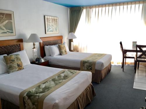 Holiday Surf Hotel Room Type - Studio Quad Oasis