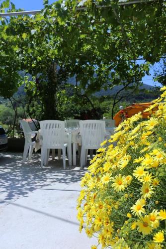 Apartments with a parking space Zuljana Peljesac - 252 - image 7