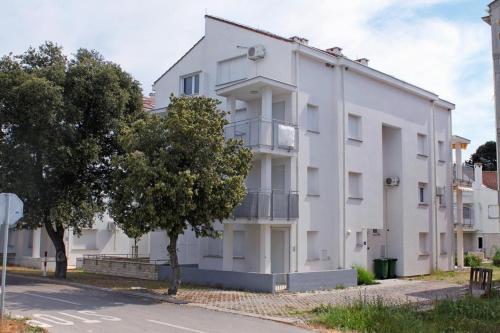 Apartments by the sea Petrcane Zadar - 3280 Petrcane 