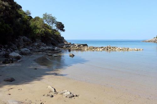  Apartment Potocnica 6338b in Borovići